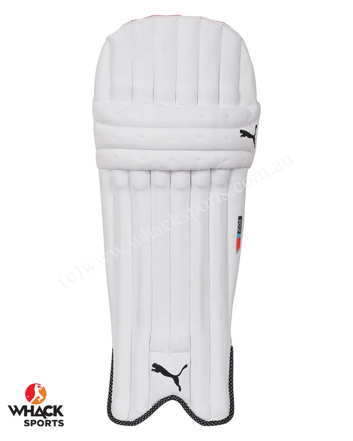Puma Evo 6 Cricket Batting Pads - Small Boys/Junior