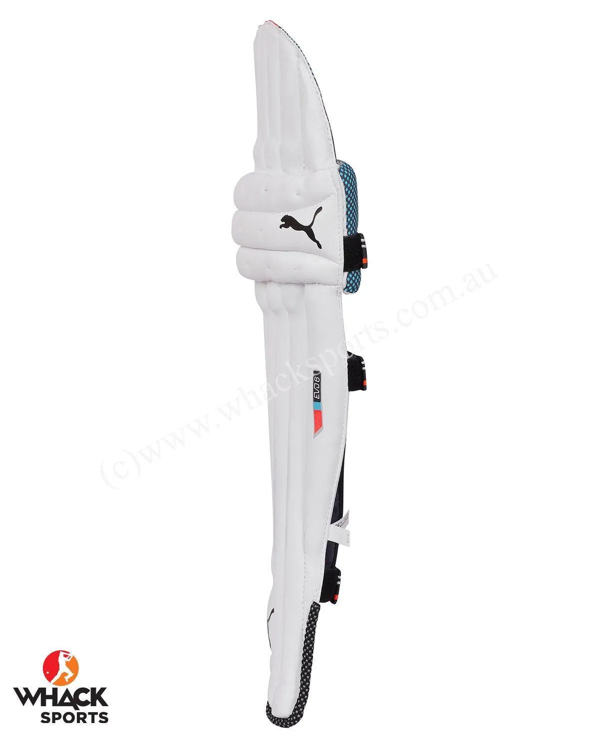 Puma Evo 6 Cricket Batting Pads - Small Boys/Junior