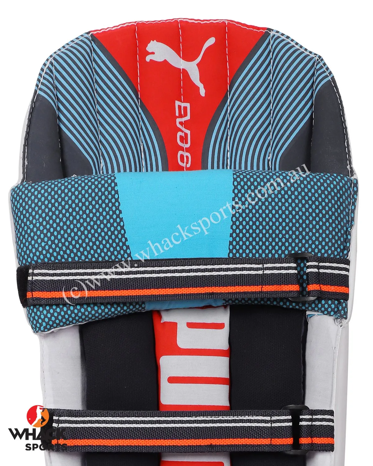 Puma Evo 6 Cricket Batting Pads - Small Boys/Junior